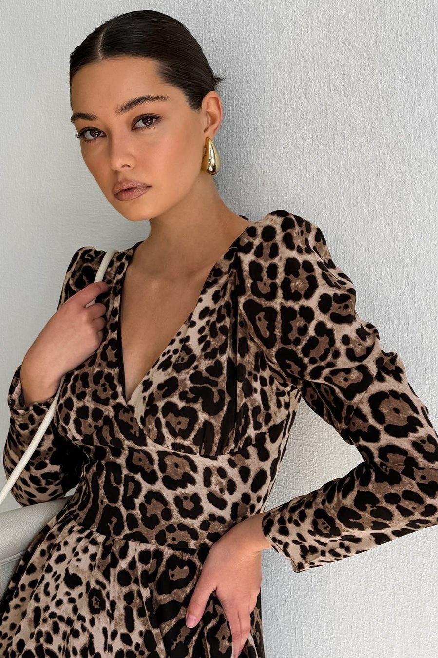 Sexy Leopard Print Long Sleeve V-Neck Mini Dress